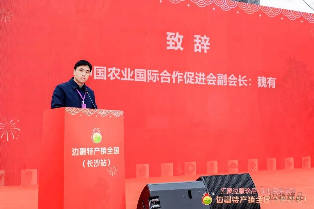 1767611428917796.jpg 3.jpg